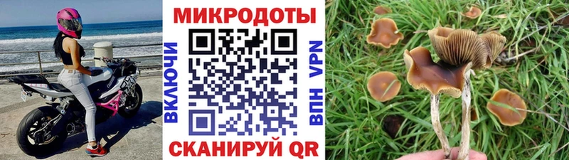 Купить закладки  Татарск  Галлюциногенные грибы Magic Shrooms 